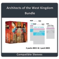 Sleeve Kings Architects of the West Kingdom