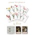La Fleur: J'Adore Mon Amaryllis Mini Expansion
