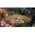 Spirit Island: Premium Token Pack 2
