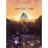 Anachrony: Fractures of Time