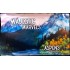 Aspens: Majestic Marvels