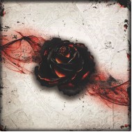 Black Rose Wars