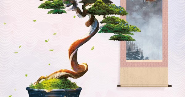real bonsai tree Gorgeous Juniper Bonsai main image 1