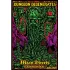 Dungeon Degenerates: Mean Streets Expansion Box