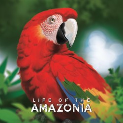 Life Of The Amazonia