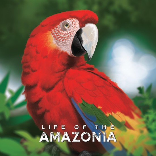 Life Of The Amazonia - Strategy