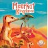 Meerkat Kingdoms