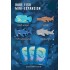 Shallow Sea: Rare Fish Mini-expansion