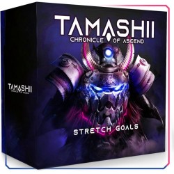 Tamashii: Chronicle Of Ascend – Stretch Goals