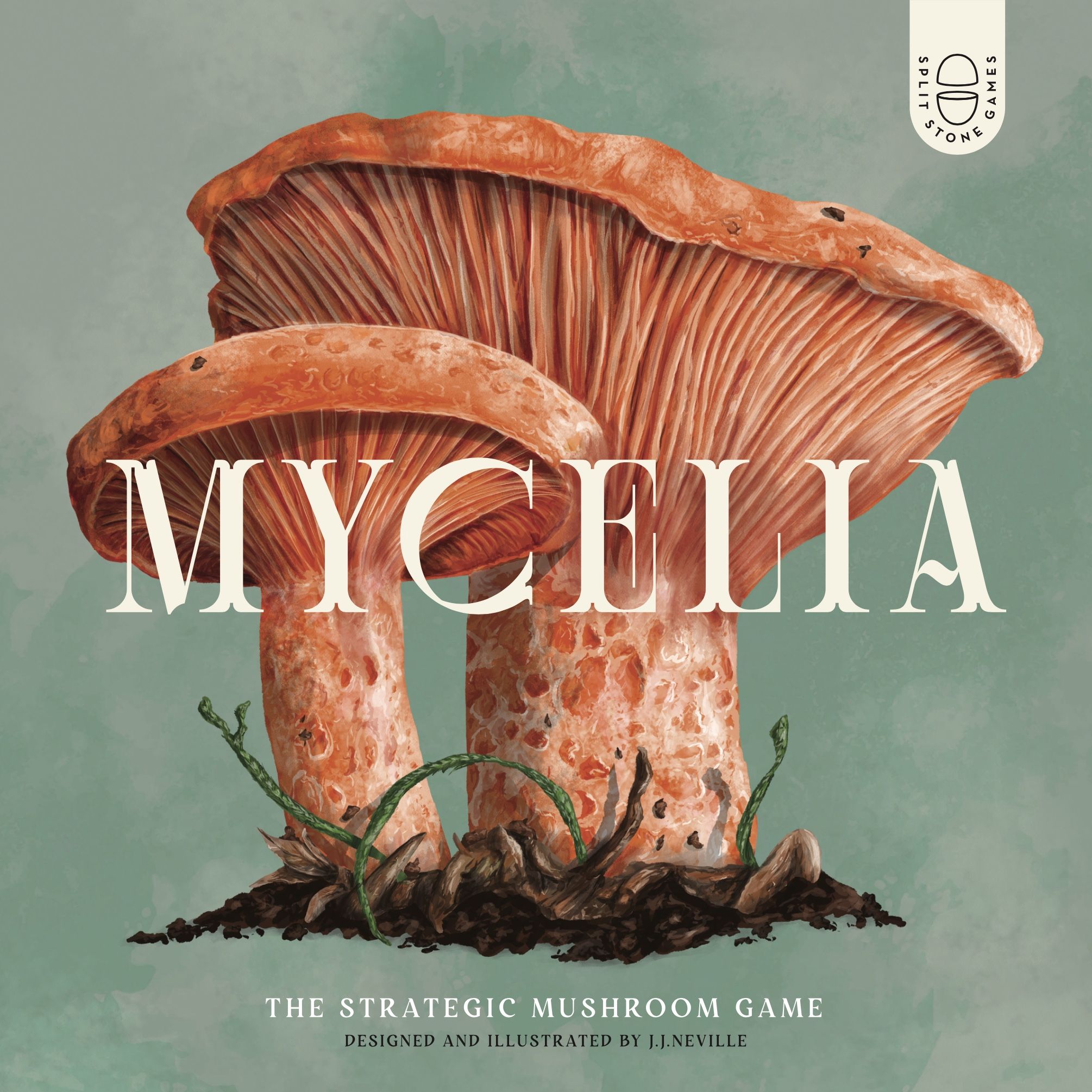 Mycelia image