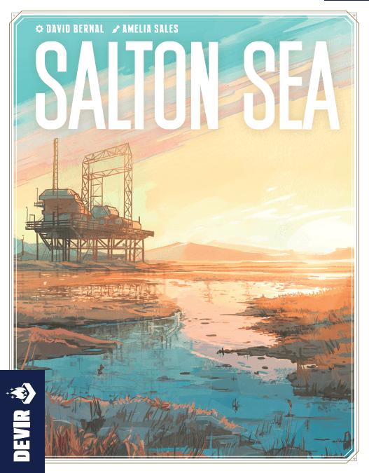 Salton Sea image