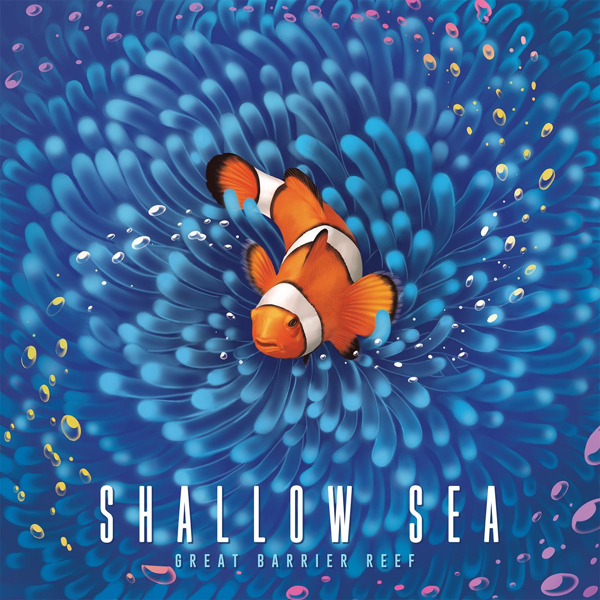 Shallow Sea image