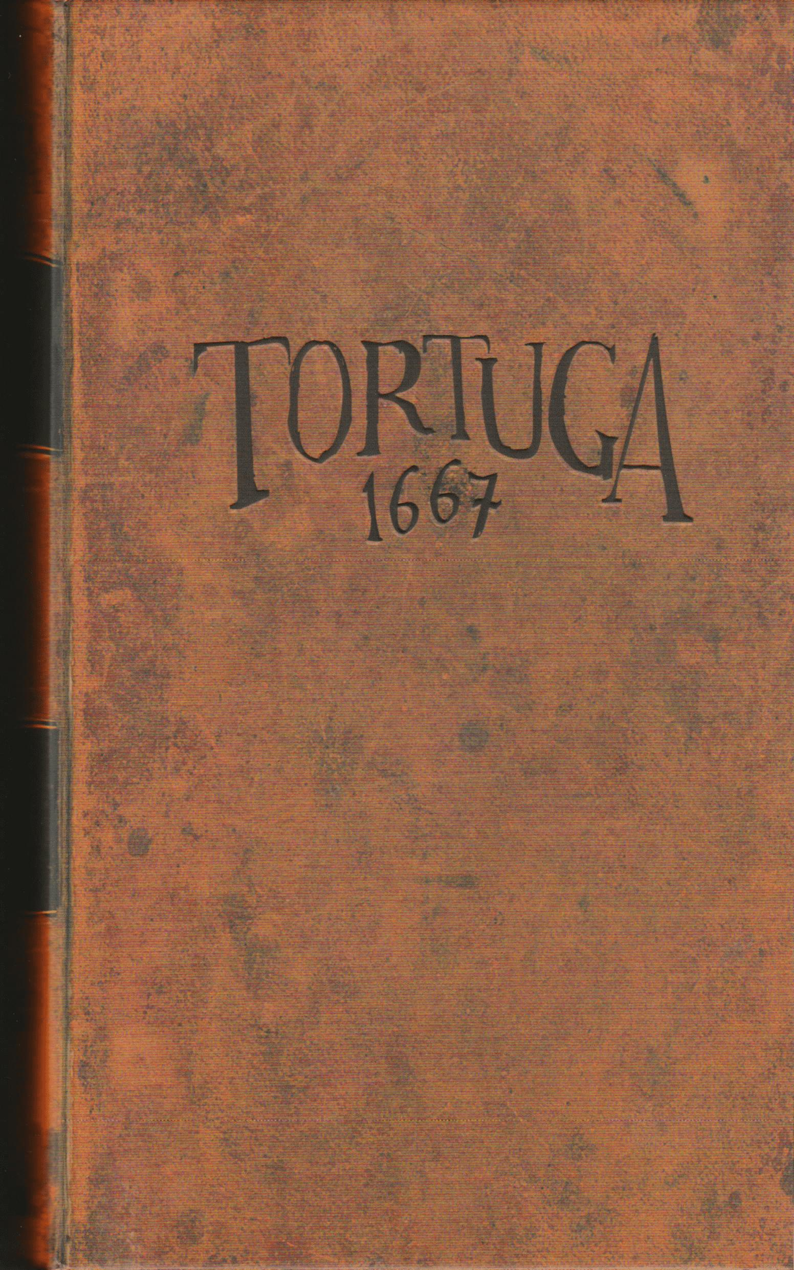 Tortuga 1667 image